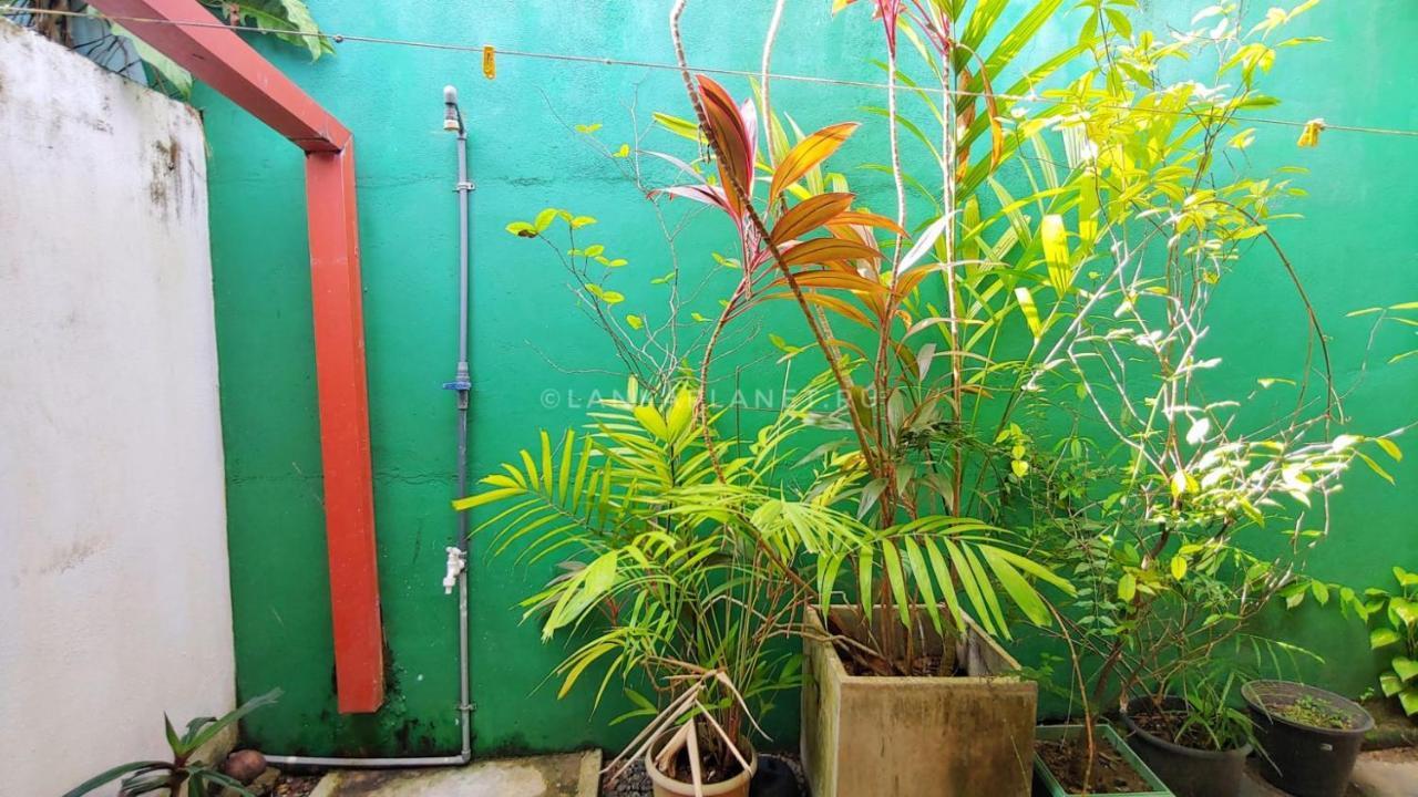 Twin Palms Hotel Mirissa Ngoại thất bức ảnh